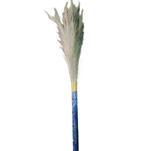 BHARAT PLASTIC Super Soft Hill Grass Floor Broom
