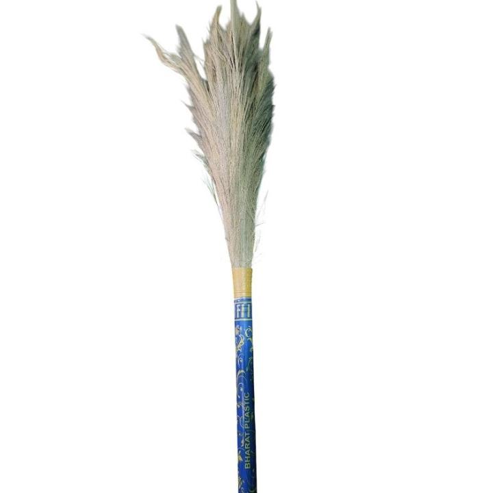 BHARAT PLASTIC Super Soft Hill Grass Floor Broom