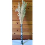 BHARAT PLASTIC Super Soft Hill Grass Floor Broom