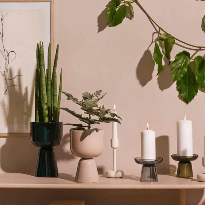 Iceland Spaghetti Bolognese