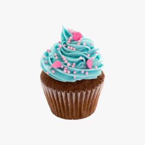 NYX Beauty Couton Pallete Makeup 12