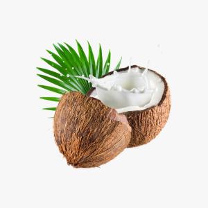 Hobnobs The Nobbly Biscuit