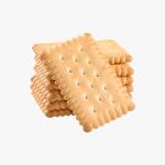 Wayfair Basics Dinner Plate Storage